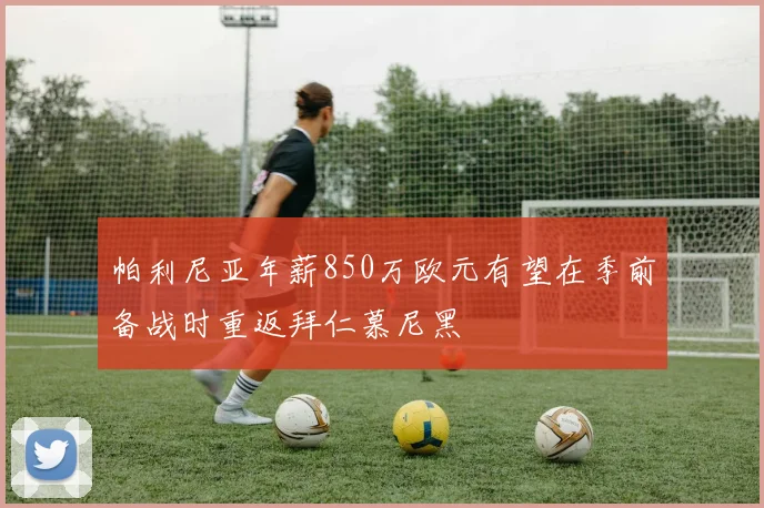 帕利尼亚年薪850万欧元有望在季前备战时重返拜仁慕尼黑
