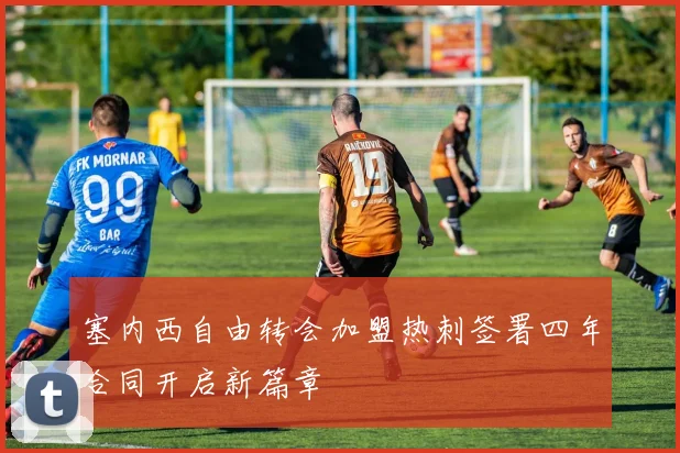 塞内西自由转会加盟热刺签署四年合同开启新篇章