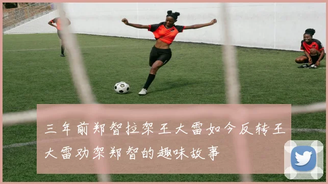 三年前郑智拉架王大雷如今反转王大雷劝架郑智的趣味故事