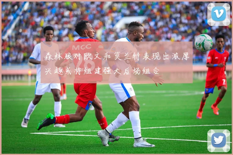 森林狼对欧文和莫兰特表现出浓厚兴趣或将组建强大后场组合